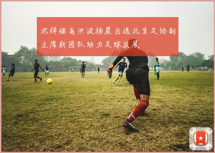 沈祥福高洪波杨晨当选北京足协副主席新团队助力足球发展