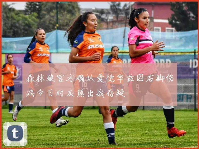 森林狼官方确认爱德华兹因右脚伤病今日对灰熊出战存疑